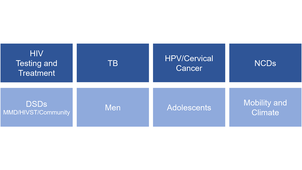https://www.testwebsite.pihmalawi.com/Core Focus Areas